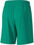 SHORT PUMA 70426205 CAB TEAMGOAL 23 KNIT SHORTS