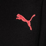 PANTS PUMA 58913235 CLASSIC HOODED SWEAT SUIT FLCONJUNTO