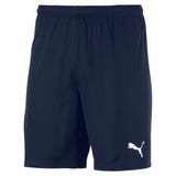 SHORT PUMA 70426206 CAB TEAMGOAL 23 KNIT SHORTS