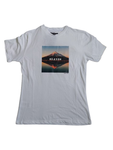 PLAYERA INDIAN SOUL 1231 PLAYERA BASICA CR MC ESTAMPADA CAB