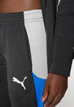PANTS PUMA 65991103 DAM INDIVIDUALBLAZE TRACKSUIT